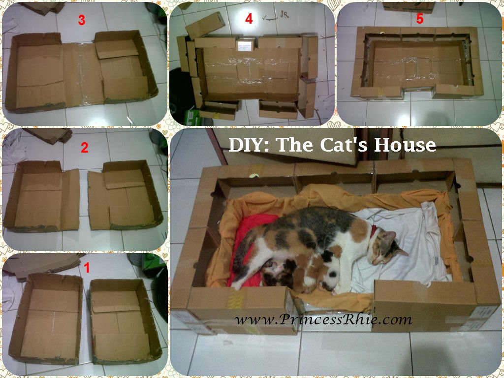 Desain Rumah Kucing Dari Kardus Desain Rumah Desain Rumah Kucing Dari Kardus Desain Rumah